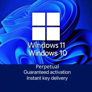 Windows 1011 perpetual key 600x553.jpg