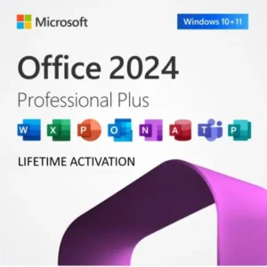 Microsoft Office Professional Plus 2024