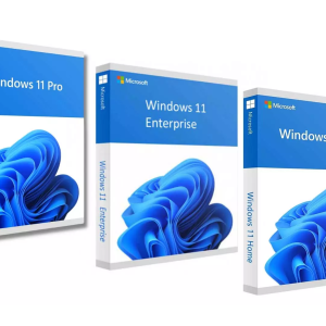 Microsoft windows 11 pro enterprise home bundle