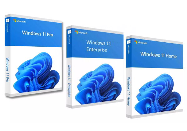 Microsoft windows 11 pro enterprise home bundle